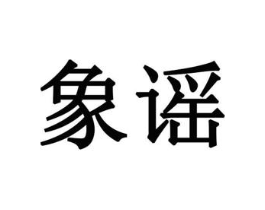 象谣商标原图 第10类医疗器械