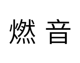 燃音商标原图 第10类医疗器械