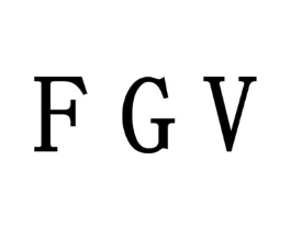 FGV商标原图 第10类医疗器械