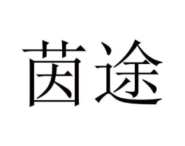 茵途商标原图 第10类医疗器械