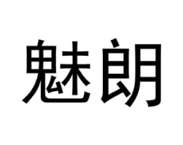 魅朗商标原图 第10类医疗器械