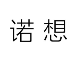 诺想商标原图 第10类医疗器械