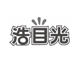 浩目光商标原图 第10类医疗器械