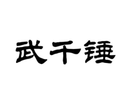 武千锤商标原图 第10类医疗器械