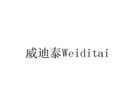 威迪泰商标原图 第10类医疗器械