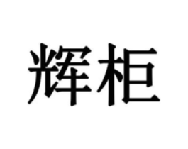 辉柜商标原图 第10类医疗器械