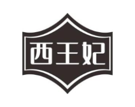 西王妃商标原图 第10类医疗器械