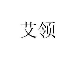 艾领商标原图 第10类医疗器械