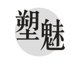 塑魅商标原图 第10类医疗器械