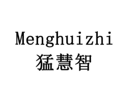 猛慧智商标原图 第10类医疗器械