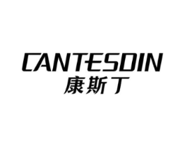 康斯丁 CANTESDIN商标原图 第10类医疗器械