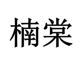 楠棠商标原图 第10类医疗器械