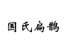 国氏扁鹊商标原图 第10类医疗器械