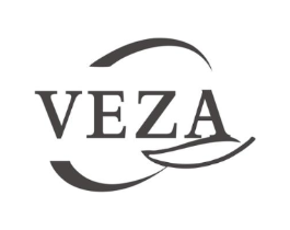 VEZA商标原图 第10类医疗器械