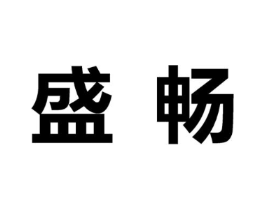 盛畅商标原图 第10类医疗器械
