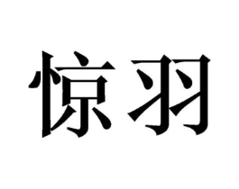 惊羽商标原图 第10类医疗器械