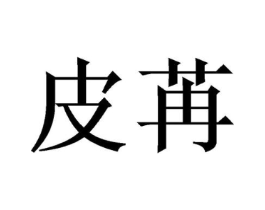 皮苒商标原图 第10类医疗器械
