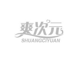 爽次元商标原图 第10类医疗器械