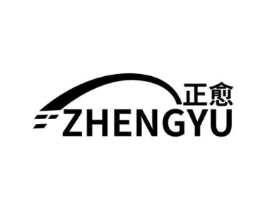 正愈商标原图 第10类医疗器械