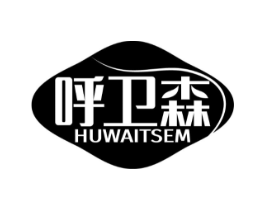 呼卫森 HUWAITSEM商标原图 第10类医疗器械