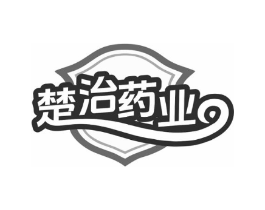 楚治药业商标原图 第10类医疗器械