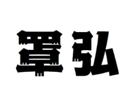 罩弘商标原图 第10类医疗器械