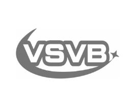 VSVB商标原图 第10类医疗器械