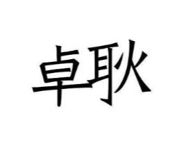 卓耿商标原图 第10类医疗器械