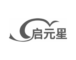 启元星商标原图 第10类医疗器械