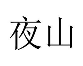 夜山商标原图 第10类医疗器械