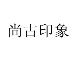 尚古印象商标原图 第10类医疗器械