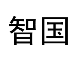 智国商标原图 第10类医疗器械