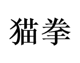 猫拳商标原图 第10类医疗器械