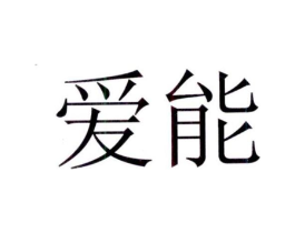 爱能商标原图 第10类医疗器械