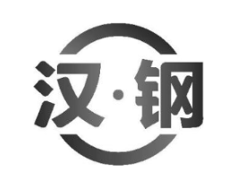 汉·钢商标原图 第10类医疗器械