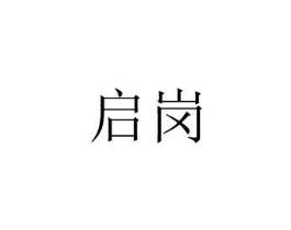 启岗商标原图 第10类医疗器械