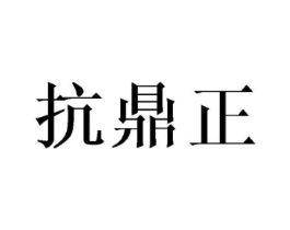 抗鼎正商标原图 第10类医疗器械