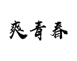 爽青春商标原图 第10类医疗器械