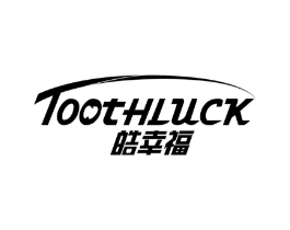 皓幸福 TOOTHLUCK商标原图 第10类医疗器械