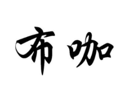 布咖商标原图 第10类医疗器械