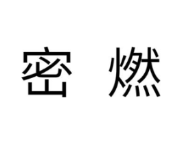 密燃商标原图 第10类医疗器械