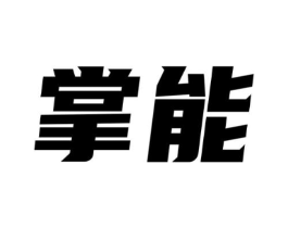掌能商标原图 第10类医疗器械