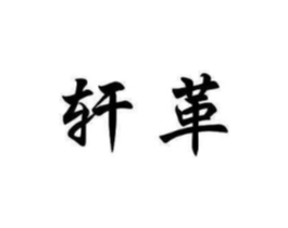 商标原图
