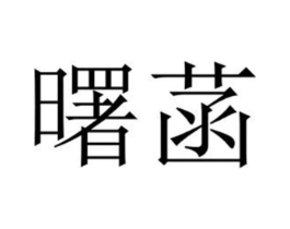 商标原图