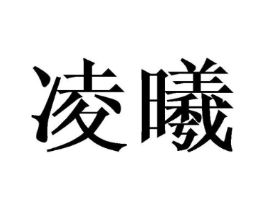 商标原图