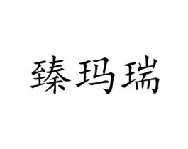 商标原图