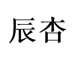 辰杏商标原图 第16类办公工具