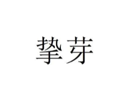 商标原图