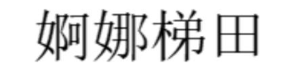 婀娜梯田