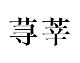 商标原图